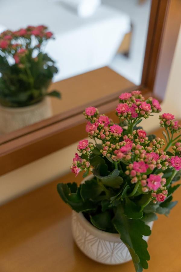 Ammousa Hotel Apartments リクスリオン エクステリア 写真